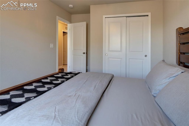 6069 Inman Vw, Colorado Springs, CO 80924 - bedroom with a closet and baseboards