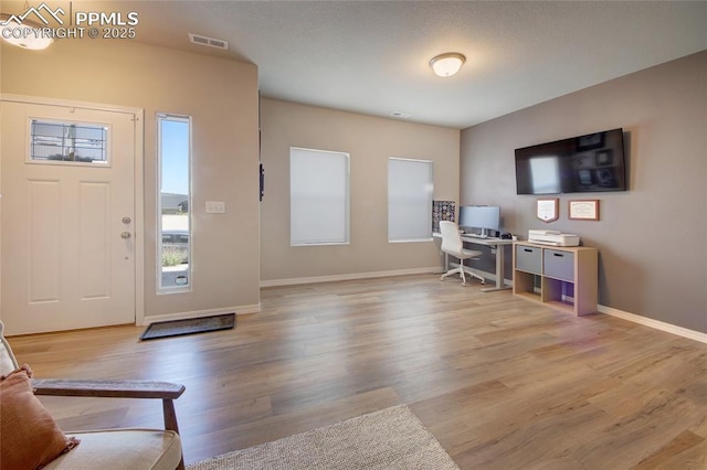 6069 Inman Vw, Colorado Springs, CO 80924 - foyer entrance featuring light wood-style floors and baseboards