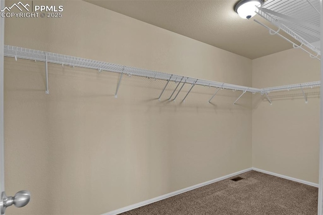 7385 Forest Meadows Ave, Colorado Springs, CO 80908 - walk in closet with carpet flooring