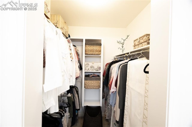 2125 Glenhill Rd, Colorado Springs, CO 80906 - view of walk in closet