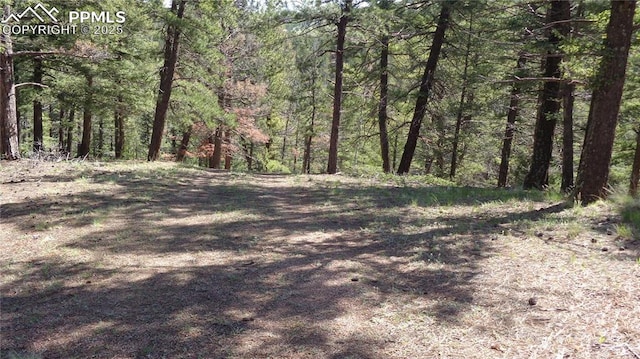 372 Crystal Dr, Cripple Creek, CO 80813 - view of tree filled area