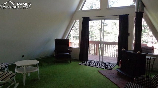 372 Crystal Dr, Cripple Creek, CO 80813 - view of yard