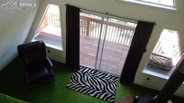 372 Crystal Dr, Cripple Creek, CO 80813 - doorway featuring healthy amount of natural light and carpet floors