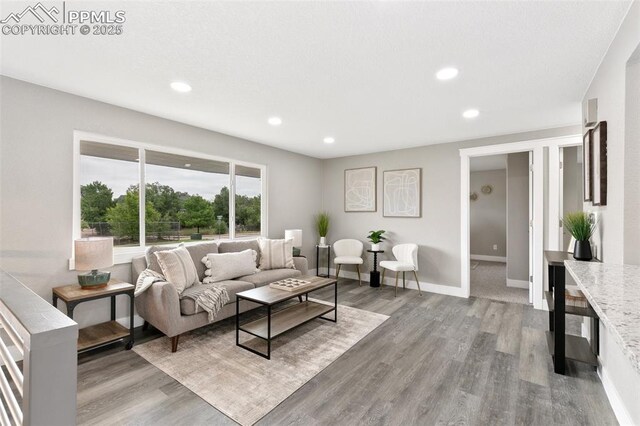 1880 Southmoor Dr, Fountain, CO 80817 - living room featuring wood finished floors and recessed lighting