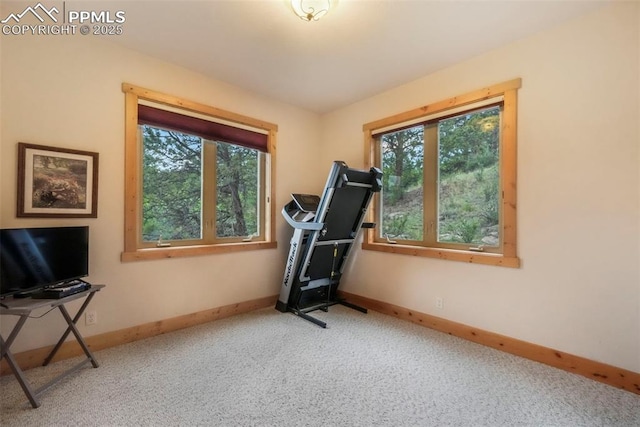 71 Crestone Cir, Florissant, CO 80816 - workout room featuring baseboards and carpet flooring