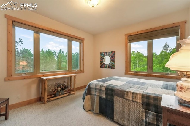 71 Crestone Cir, Florissant, CO 80816 - carpeted bedroom with baseboards