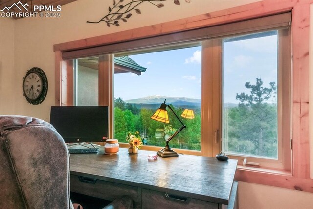 71 Crestone Cir, Florissant, CO 80816 - dining room with healthy amount of natural light