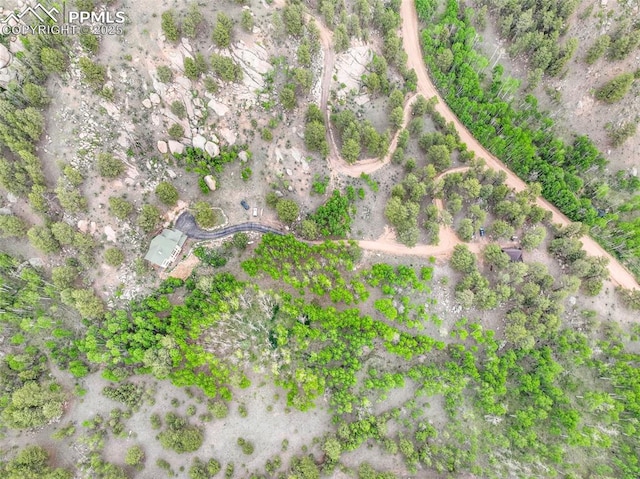 71 Crestone Cir, Florissant, CO 80816 - view of property location