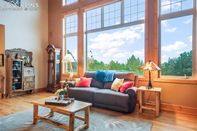 71 Crestone Cir, Florissant, CO 80816 - living area with wood finished floors