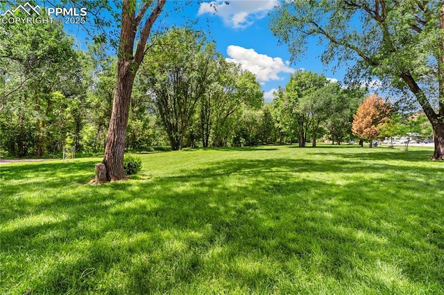 121 Via, San Miguel, Manitou Springs, CO 80829 - view of grassy yard