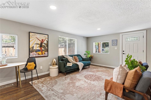 121 Via, San Miguel, Manitou Springs, CO 80829 - living room featuring a textured ceiling, wood finished floors, and recessed lighting