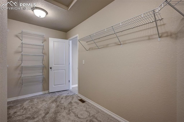 8235 Kittrick Pl, Falcon, CO 80831 - walk in closet with carpet flooring
