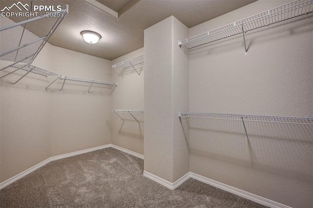8235 Kittrick Pl, Falcon, CO 80831 - spacious closet featuring carpet floors