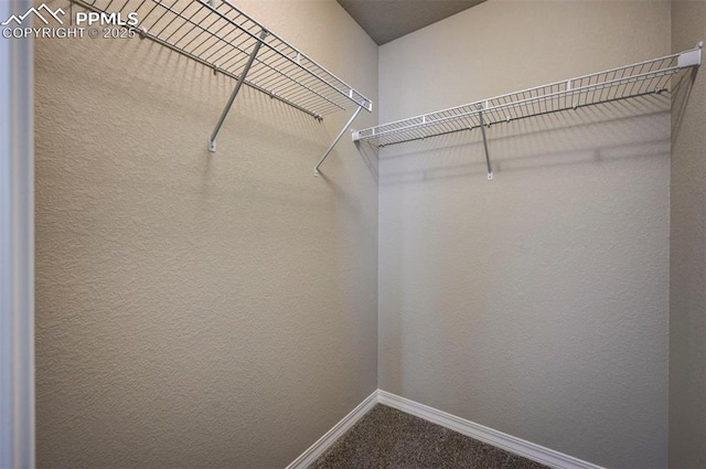 8235 Kittrick Pl, Falcon, CO 80831 - walk in closet with carpet flooring