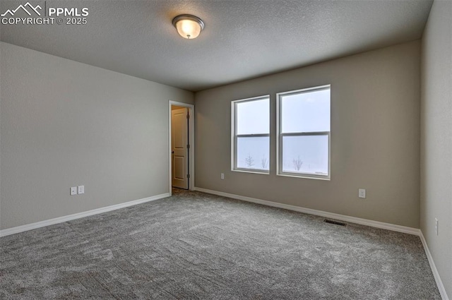 8235 Kittrick Pl, Falcon, CO 80831 - spare room featuring a textured ceiling and carpet