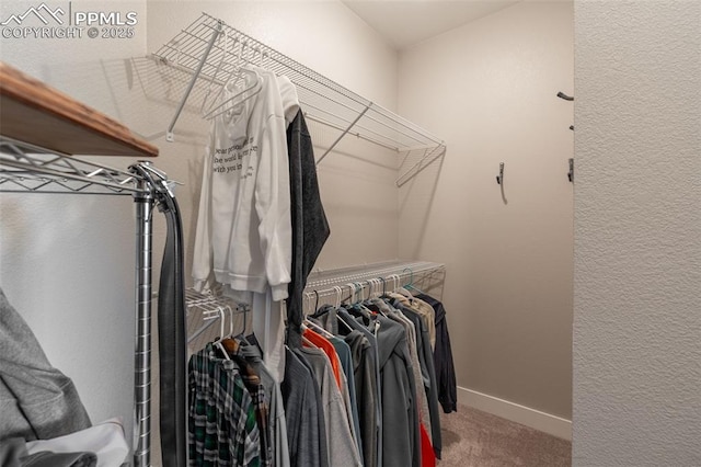333 Della Fox Ln, Westcliffe, CO 81252 - walk in closet with carpet flooring
