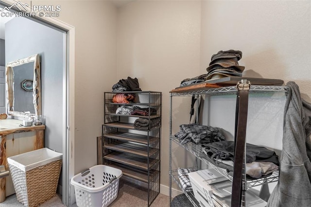 333 Della Fox Ln, Westcliffe, CO 81252 - spacious closet featuring carpet flooring