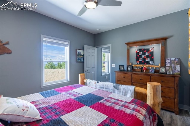 333 Della Fox Ln, Westcliffe, CO 81252 - bedroom with multiple windows, wood finished floors, and ceiling fan