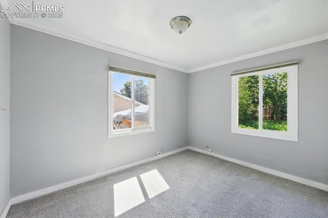 1137 Pando Ave, Colorado Springs, CO 80905 - carpeted empty room featuring crown molding and baseboards