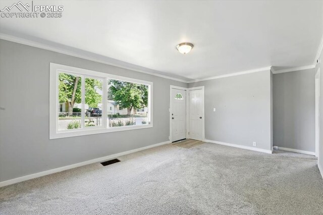 1137 Pando Ave, Colorado Springs, CO 80905 - carpeted empty room with crown molding and baseboards