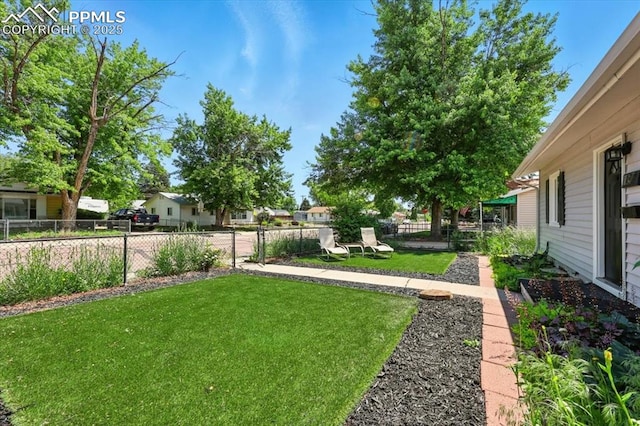 1137 Pando Ave, Colorado Springs, CO 80905 - view of yard