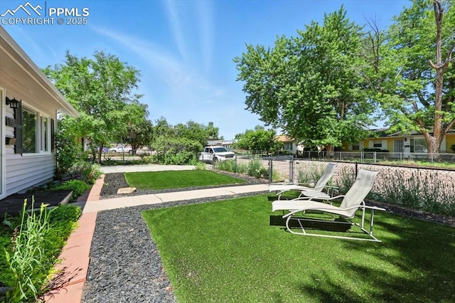 1137 Pando Ave, Colorado Springs, CO 80905 - view of yard