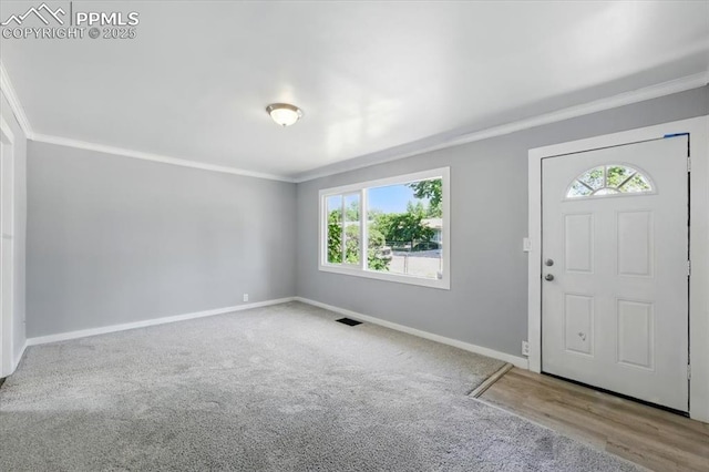 1137 Pando Ave, Colorado Springs, CO 80905 - carpeted entrance foyer featuring ornamental molding and plenty of natural light