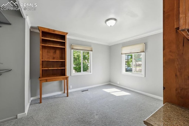 1137 Pando Ave, Colorado Springs, CO 80905 - unfurnished bedroom featuring multiple windows, carpet floors, and crown molding