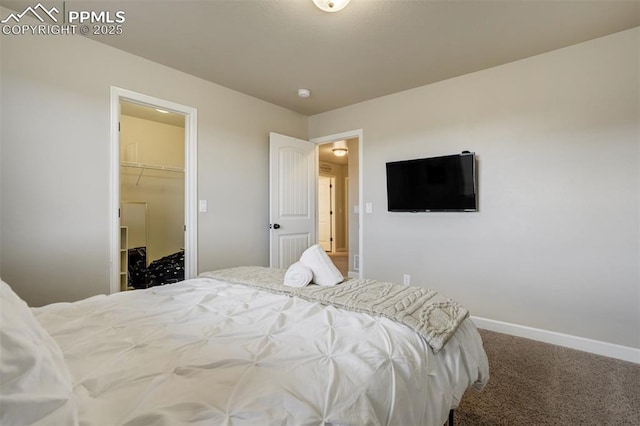 10280 Abrams Dr, Colorado Springs, CO 80925 - bedroom with carpet floors and a spacious closet