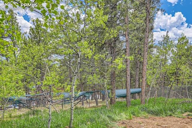 376 Gardenia Rd, Woodland Park, CO 80863 - view of yard