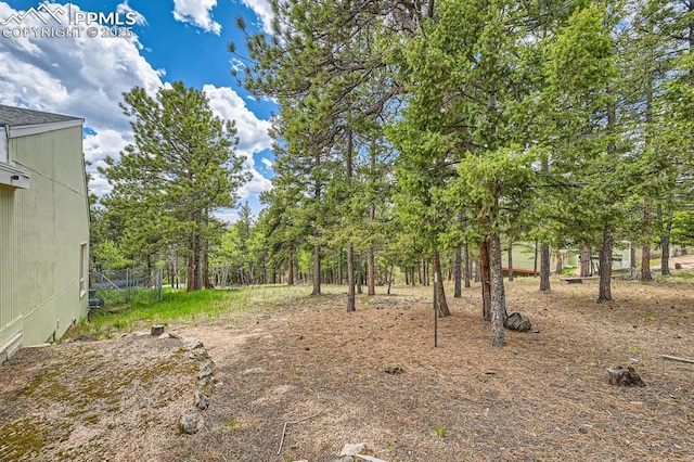 376 Gardenia Rd, Woodland Park, CO 80863 - view of yard