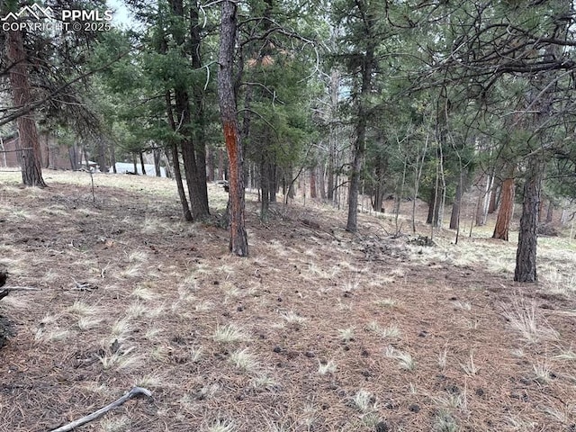 376 Gardenia Rd, Woodland Park, CO 80863 - view of nature