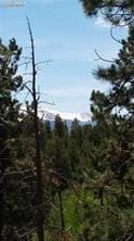 376 Gardenia Rd, Woodland Park, CO 80863 - view of wooded area