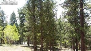 376 Gardenia Rd, Woodland Park, CO 80863 - view of undeveloped land