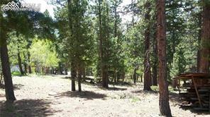376 Gardenia Rd, Woodland Park, CO 80863 - view of nature