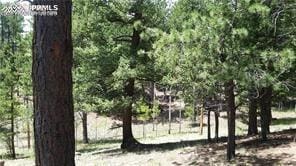 376 Gardenia Rd, Woodland Park, CO 80863 - view of nature