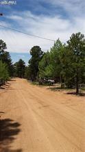 376 Gardenia Rd, Woodland Park, CO 80863 - view of dirt / gravel road