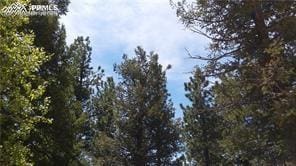 376 Gardenia Rd, Woodland Park, CO 80863 - view of nature