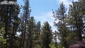 376 Gardenia Rd, Woodland Park, CO 80863 - view of wooded area