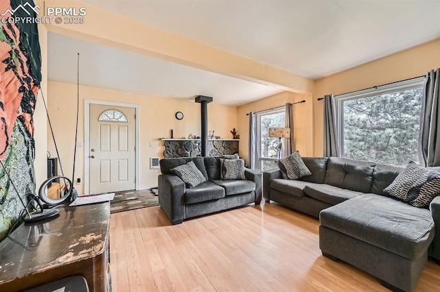 376 Gardenia Rd, Woodland Park, CO 80863 - living room with a wood stove and wood finished floors