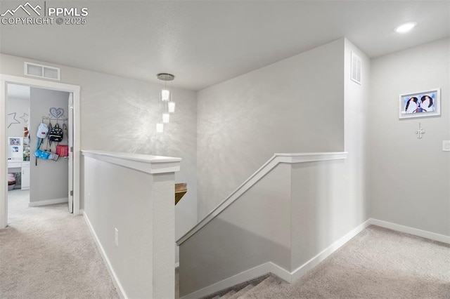 8101 Goldenray Pl, Colorado Springs, CO 80908 - hallway with an upstairs landing and carpet