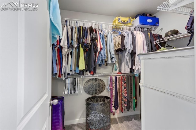 8101 Goldenray Pl, Colorado Springs, CO 80908 - spacious closet featuring carpet flooring