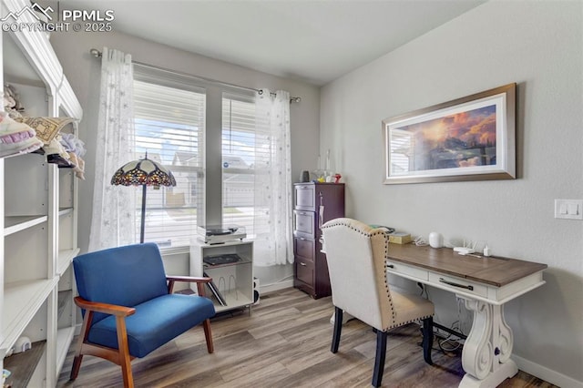 8101 Goldenray Pl, Colorado Springs, CO 80908 - office space featuring light wood-style flooring and baseboards