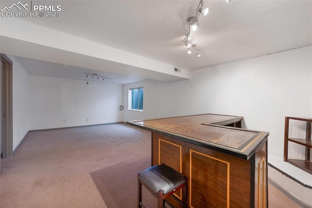 9503 Brisk Breeze Ct, Colorado Springs, CO 80925 - bar area featuring rail lighting and light carpet