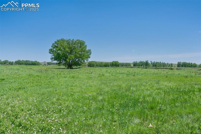 9503 Brisk Breeze Ct, Colorado Springs, CO 80925 - view of yard featuring a view of rural / pastoral area