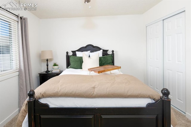 1363 Soaring Eagle Dr, Colorado Springs, CO 80915 - bedroom with carpet and a closet
