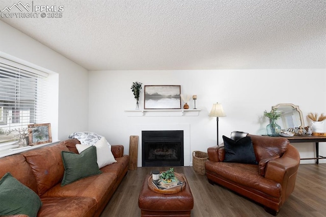 1363 Soaring Eagle Dr, Colorado Springs, CO 80915 - living room with wood finished floors, a textured ceiling, and a fireplace