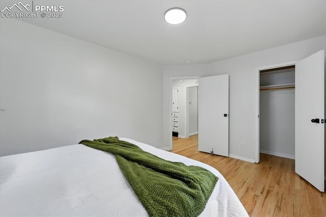 1314 Pioneer Rd, Colorado Springs, CO 80907 - bedroom with light wood finished floors and a closet