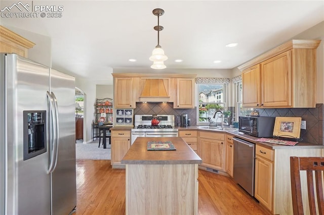 392 Pyrite Ter, Colorado Springs, CO 80905 - kitchen featuring appliances with stainless steel finishes, light brown cabinetry, premium range hood, healthy amount of natural light, and recessed lighting