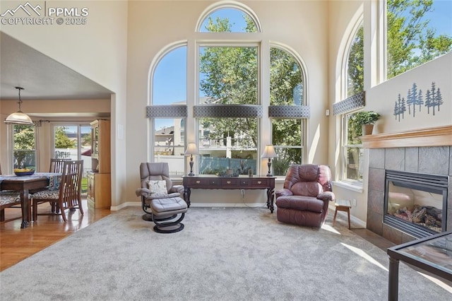 392 Pyrite Ter, Colorado Springs, CO 80905 - carpeted living room featuring a towering ceiling and a fireplace
